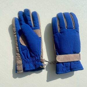 Blue and Tan Winter Gloves